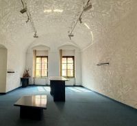Das Innere präsentiert eine besondere Immobilie mit strukturierten Wänden, gewölbter Decke und blauem Teppich.