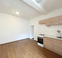 Küche in einem Einfamilienhaus mit einfacher Küchenzeile und Boden in Holzoptik.