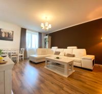 Wohnzimmer in einer 2-Zimmer-Wohnung mit Holzboden und bequemer Couch.