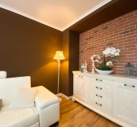 Wohnzimmer einer Zweizimmerwohnung mit bequemer Couch, Ziegelverkleidung und Boden in Holzoptik.