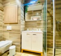 Badezimmer in einer 2-Zimmer-Wohnung mit Waschbecken, Duschkabine, Toilette und Holzdekor.