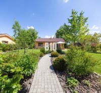 Der Garten eines Einfamilienhauses in Bílkovie Humence mit Bäumen, Sträuchern und einem Pflasterweg.