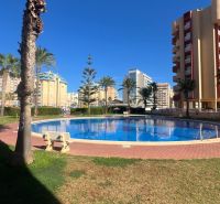 Ein von Grünflächen und Palmen umgebener Pool in La Manga del Mar Menor repräsentiert eine Ferienwohnung.