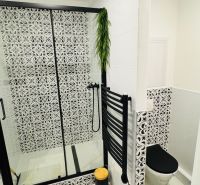 Badezimmer in einer Einzimmerwohnung mit schwarz-weißen Fliesen und hängendem Grün.