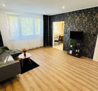 Helles Wohnzimmer in einer Einzimmerwohnung mit Sofa, Fernseher und Boden in Holzoptik.