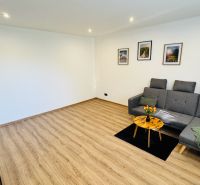 Wohnzimmer in einer Einzimmerwohnung mit Holzboden, grauem Sofa und Fernseher.