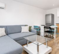 Wohnzimmer in einer 2-Zimmer-Wohnung mit Sofa, Tisch und Küchenzeile.