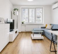 Wohnzimmer in einer 2-Zimmer-Wohnung mit Holzboden, weißen Möbeln und einem Sofa.