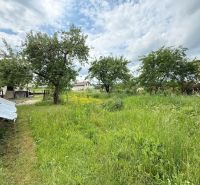 Ein Einfamilienhaus in Žilina mit einem Rasen im Garten, umgeben von Bäumen und Natur.