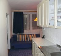 Küche mit Sofa in einer 2-Zimmer-Wohnung, Unterschränke und Vorhänge.