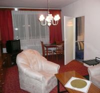 Wohnzimmer mit rotem Teppich, Sesseln und Holzschränken in einer 2-Zimmer-Wohnung.