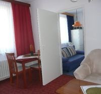 Wohnzimmer in einer Zweizimmerwohnung mit gepolstertem Sofa und Esstisch.