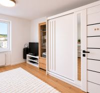 Wohnbereich in einer 2-Zimmer-Wohnung mit Holzdekorboden und Fernseher.