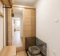 Eingangsbereich in einer 2-Zimmer-Wohnung mit dekorativem Boden und Spiegelschrank.