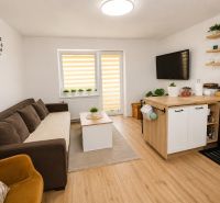 Wohnzimmer in einer Zweizimmerwohnung mit Sofa und Küchenzeile, Boden mit Holzdekor.