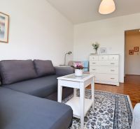 Wohnzimmer in einer Zweizimmerwohnung mit einem Sofa und einem Boden in Holzoptik.
