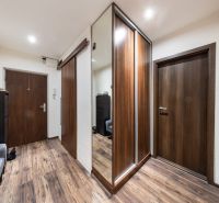 Eingangsflur mit Holzboden in einer 3-Zimmer-Wohnung, Spiegelschrank und Licht.