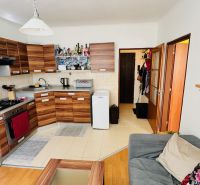 Küche mit Holzdekor und Geräten in einer Einzimmerwohnung, komfortable Anordnung.