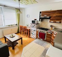 Küche in einer Einzimmerwohnung mit Holzelementen, Sofa und Esstisch.