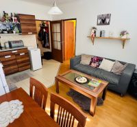 Wohnzimmer mit Küche, Sofa und Tisch in einer Einzimmerwohnung und einem Boden mit Holzdekor.