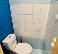 Badezimmer in einer Einzimmerwohnung mit blauen Fliesen und Toilette.