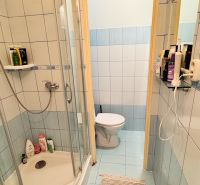 Badezimmer in einer Einzimmerwohnung mit einer durchsichtigen Duschkabine und hellblauen Fliesen.