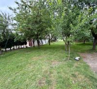 Ein von Bäumen umgebener Garten bei einem Einfamilienhaus in Rovensko mit Rasen und einem Betonweg.