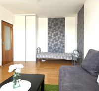 Wohnzimmer einer Einzimmerwohnung mit Sofa, Bett und Boden in Holzoptik.