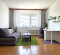 Wohnzimmer in einer Einzimmerwohnung mit Sofa, Schreibtisch und Holzboden.