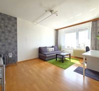1-Zimmer-Wohnung mit Sofa, Schreibtisch, Teppich und Holzboden.
