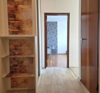 Flur mit Holzboden in einer Einzimmerwohnung. Eingang zu einem weiteren Raum.