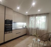Küche in einer 4-Zimmer-Wohnung mit Holzboden und großem Fenster.