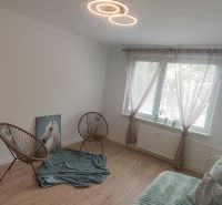 Izba in einem 4-Zimmer-Wohnung mit Holzboden, Sesseln und einem Sofa.