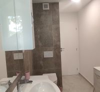 Badezimmer in einer 4-Zimmer-Wohnung mit Waschbecken, Spiegel und Toilette.