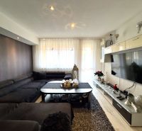 Wohnzimmer in einer 4-Zimmer-Wohnung mit Holzboden und dunklem Sofa.