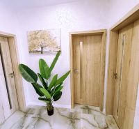 Holztüren und eine Pflanze im Inneren einer 2-Zimmer-Wohnung mit Fliesenboden.