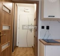Einzimmerwohnung mit Küchenarbeitsplatte und Boden in Holzoptik.