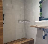 Badezimmer in einer Einzimmerwohnung mit Holzboden und hellen Fliesen.