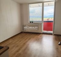 Einzimmerwohnung mit Holzboden, großem Fenster und Balkon.