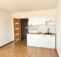 Einzimmerwohnung mit einfacher Küche, Laminatboden und Holztüren.