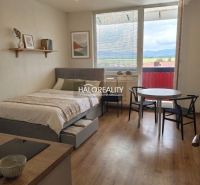 Einzimmerwohnung mit großem Fenster, Bett, Tisch und Boden in Holzoptik.
