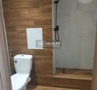 Badezimmer eines Einzimmerapartments mit Toilette und Duschkabine mit Holzboden.