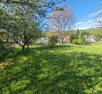 Der Garten des Einfamilienhauses in Banské in der Hauptstraße mit Bäumen und Rasenfläche.