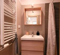 Badezimmer mit Holzdekor in einer 3-Zimmer-Wohnung, Waschbecken, Spiegel, Duschkabine.