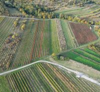 dji_fly_20251019_163708_174_1760884921351_photo.jpg
