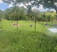 Ein Garten mit Gras und Bäumen bei einem Einfamilienhaus in Rudná.