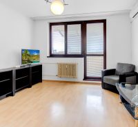 Wohnzimmer in einer 2-Zimmer-Wohnung mit Holzboden, Sofa und Fernseher.