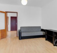 Wohnzimmer in einer 2-Zimmer-Wohnung mit Sofa, Regalen und Boden in Holzoptik.