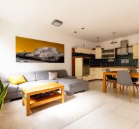 Wohnzimmer mit Küchenzeile, Sofa und Tisch in einer 2-Zimmer-Wohnung.