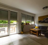 Wohnzimmer in einer 2-Zimmer-Wohnung mit Sofa, Tisch und Blick auf die Terrasse.